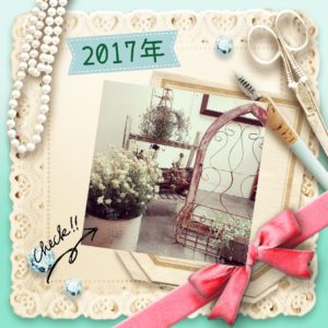 camerancollage2018_04_19_165107